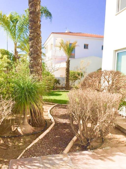 Villa Artemis Larnaca Extérieur photo